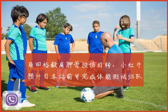 角田裕毅肩胛骨挫伤好转,小红牛预计日本站前可完成体能测试归队