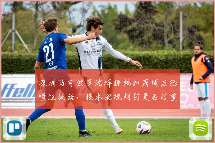 深圳马可波罗沈梓捷隔扣周琦后怒喷垃圾话，技术犯规判罚是否过重？